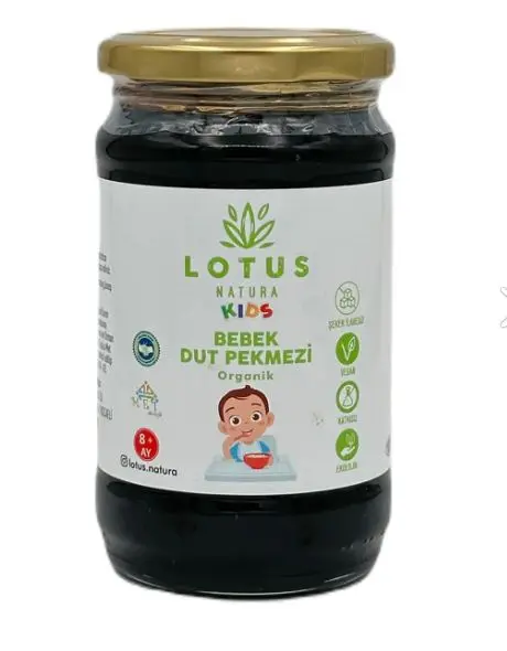 Lotus Organik Kids Dut Pekmezi 380g